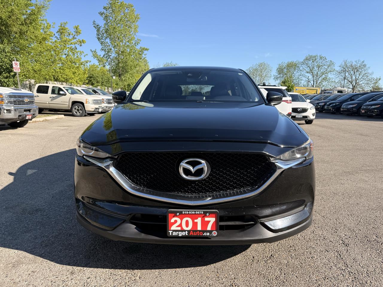 1780005033