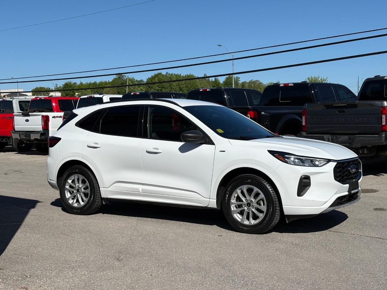 2023 Ford Escape ST-Line AWD Photo