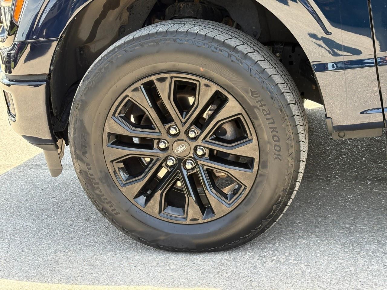 2024 Ford F-150  Photo