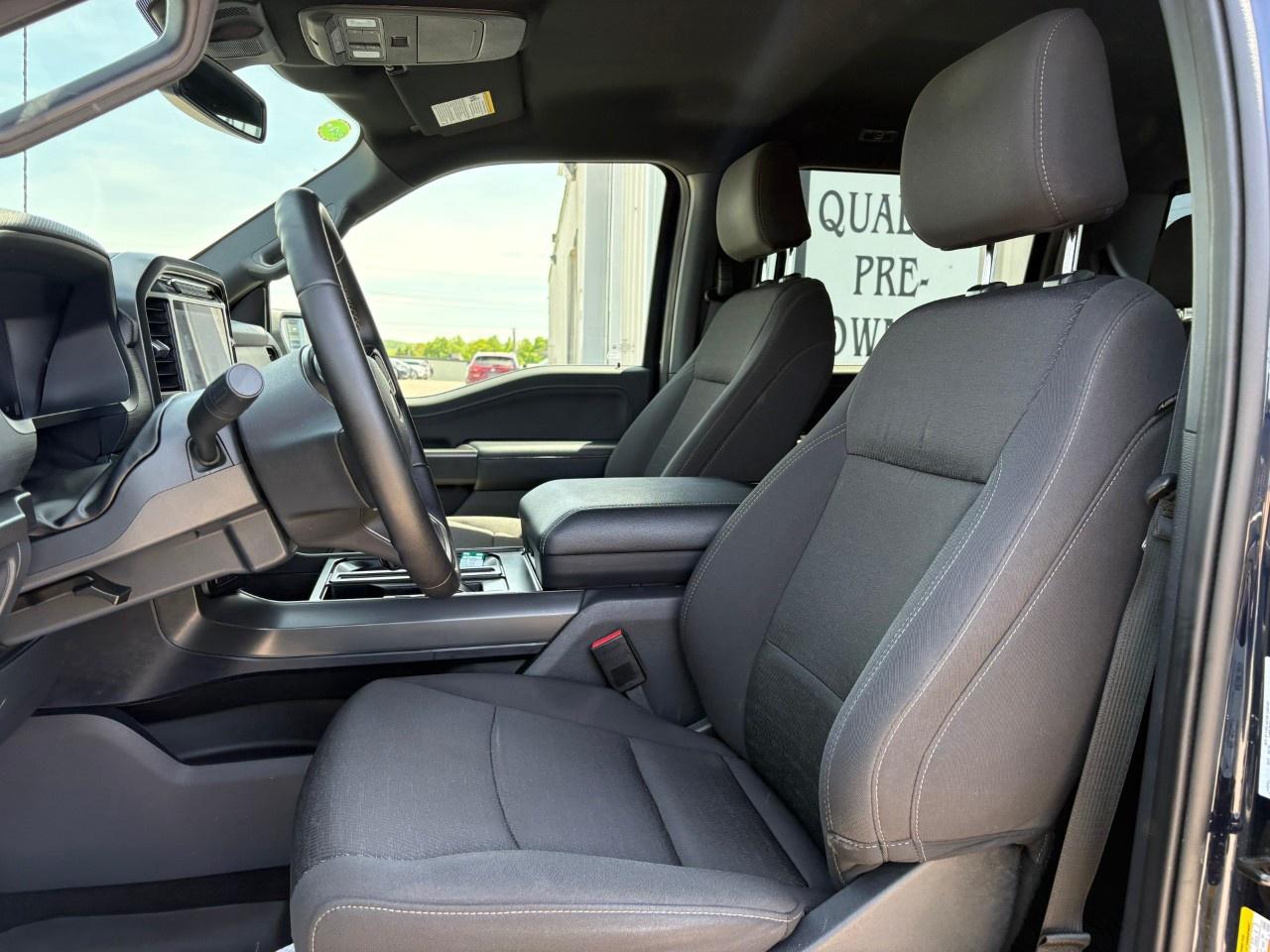 2024 Ford F-150  Photo