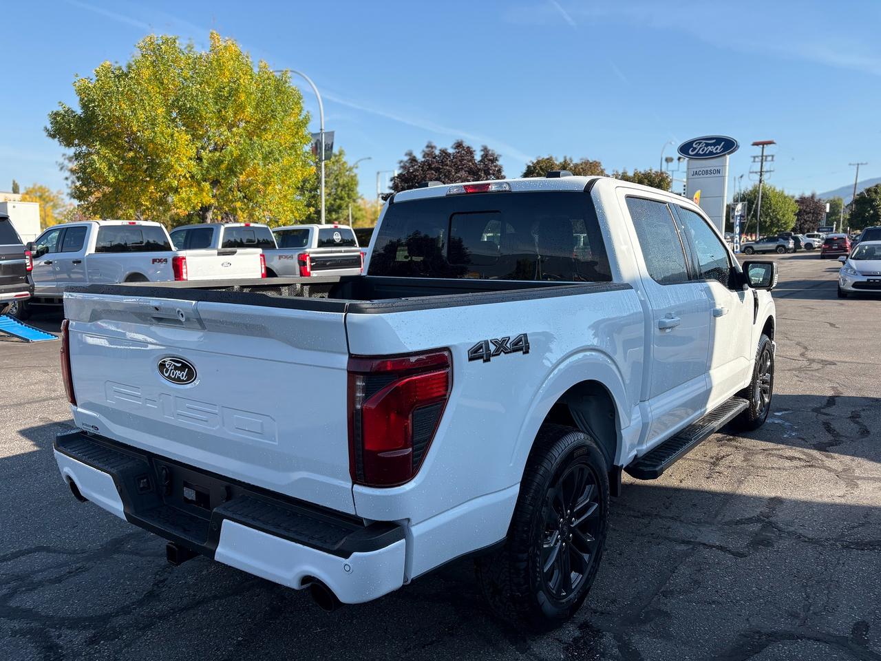 2026 Ford F-150 XLT Photo4