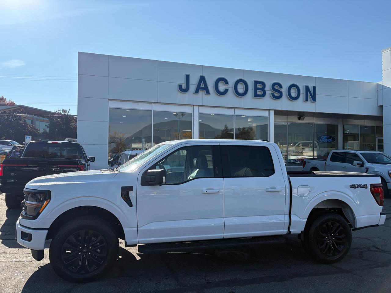 2026 Ford F-150 XLT Photo1