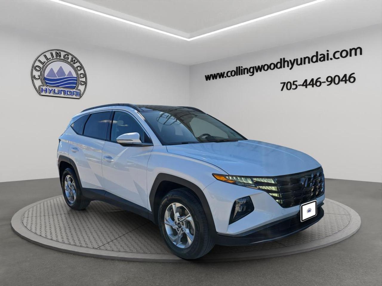 2024 Hyundai Tucson TREND Photo0