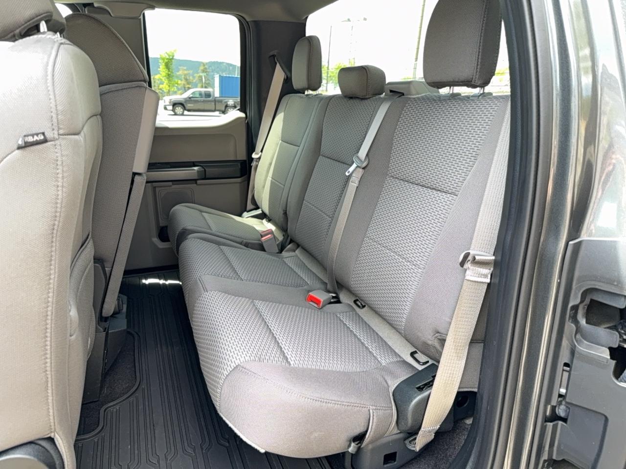 2020 Ford F-150 XLT Photo