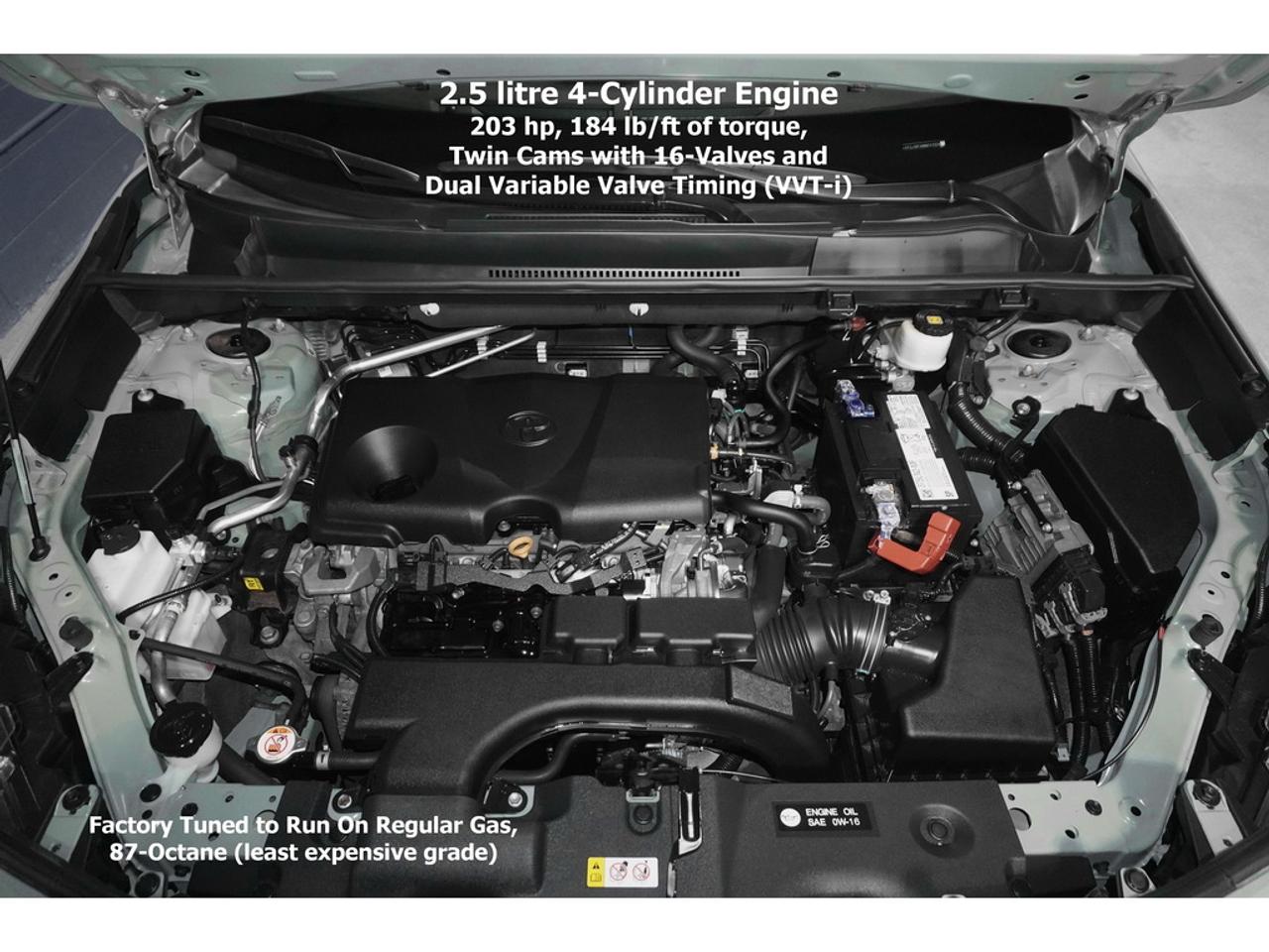 2021 Toyota RAV4 TRAIL Photo