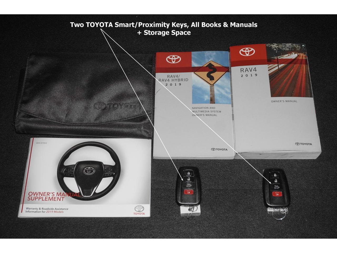 2019 Toyota RAV4 TRAIL Photo