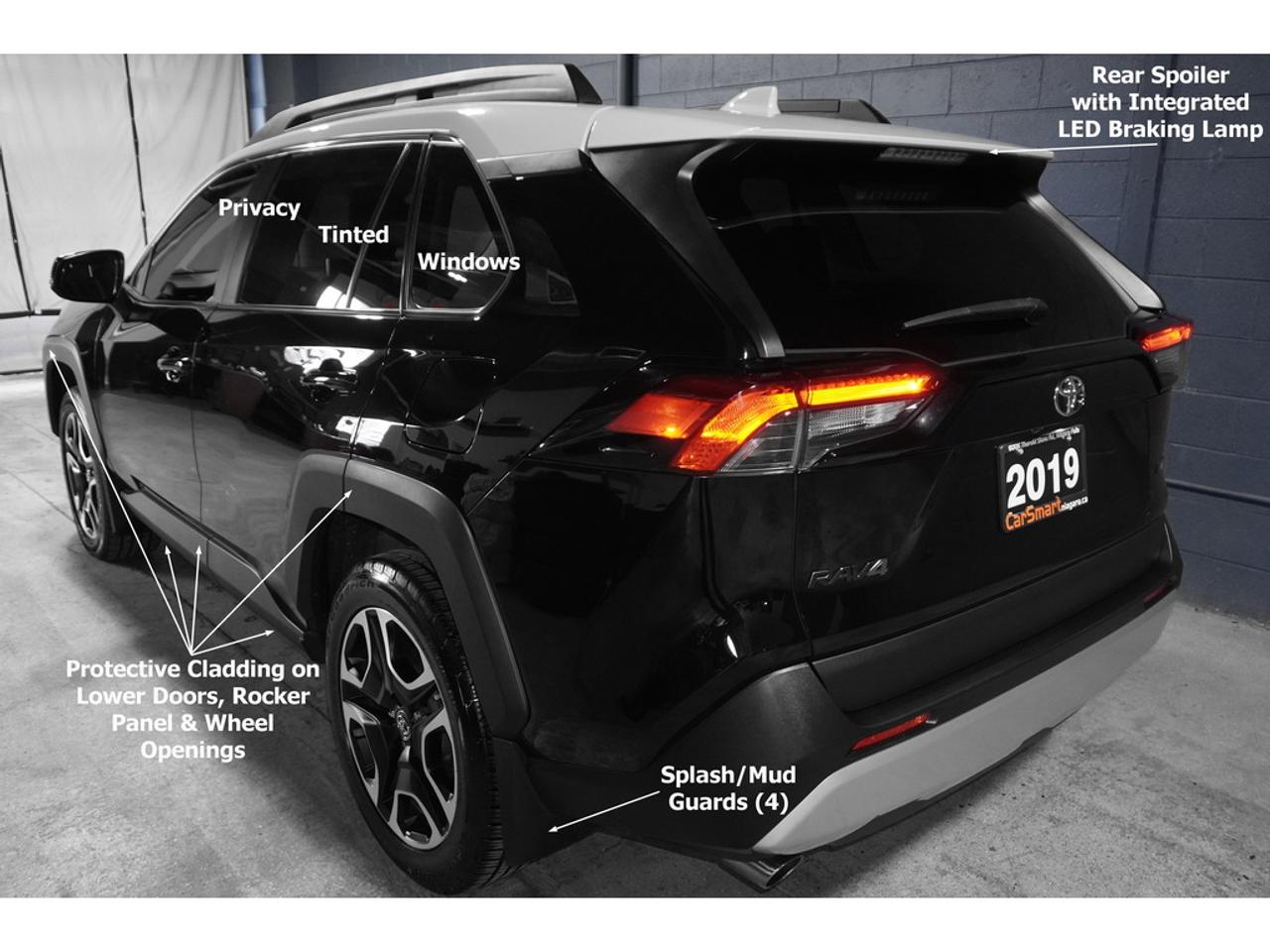 2019 Toyota RAV4 TRAIL Photo