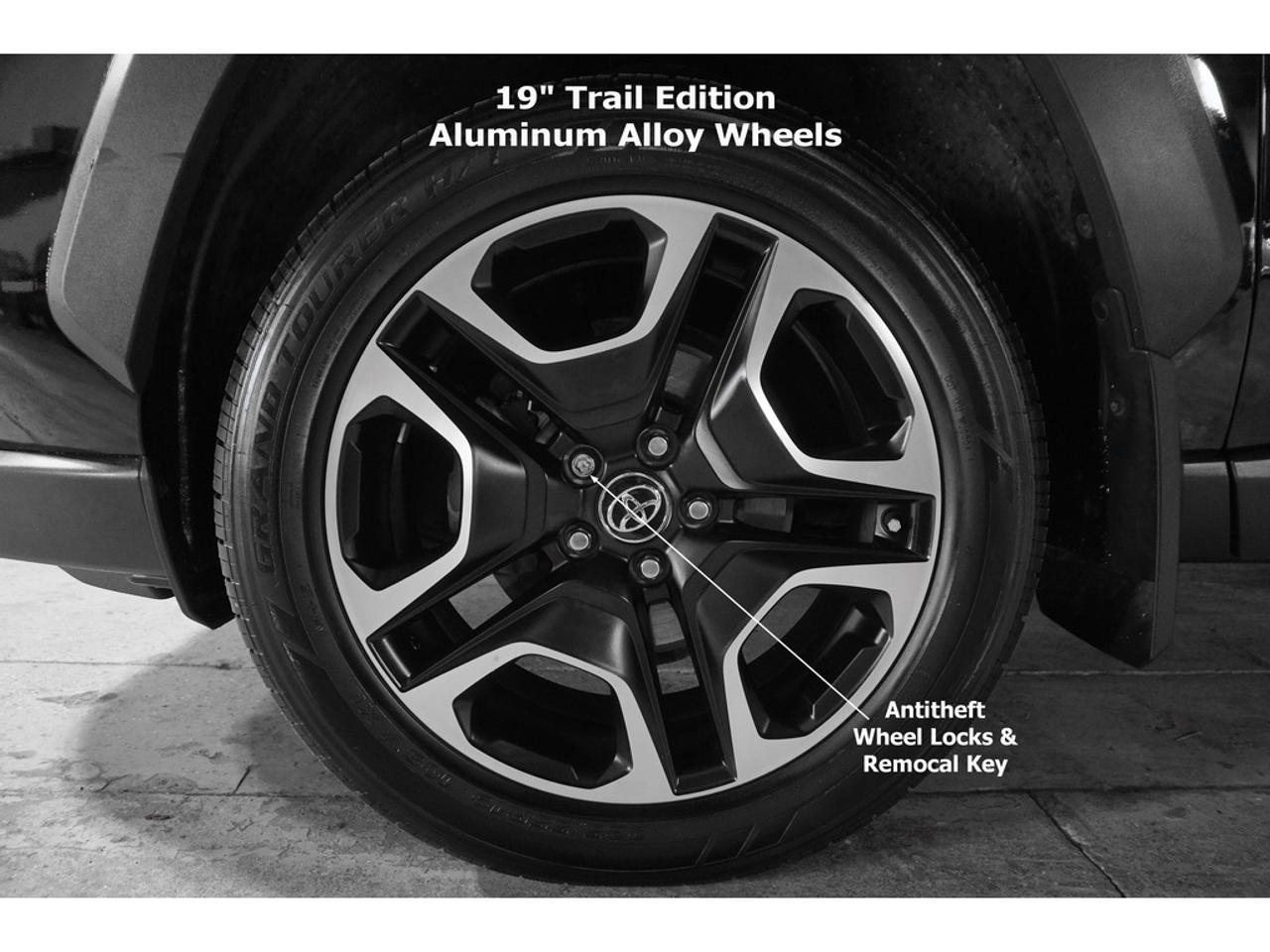 2019 Toyota RAV4 TRAIL Photo