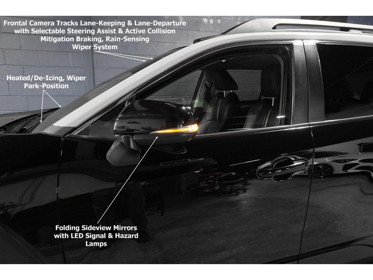 2019 Toyota RAV4 TRAIL Photo