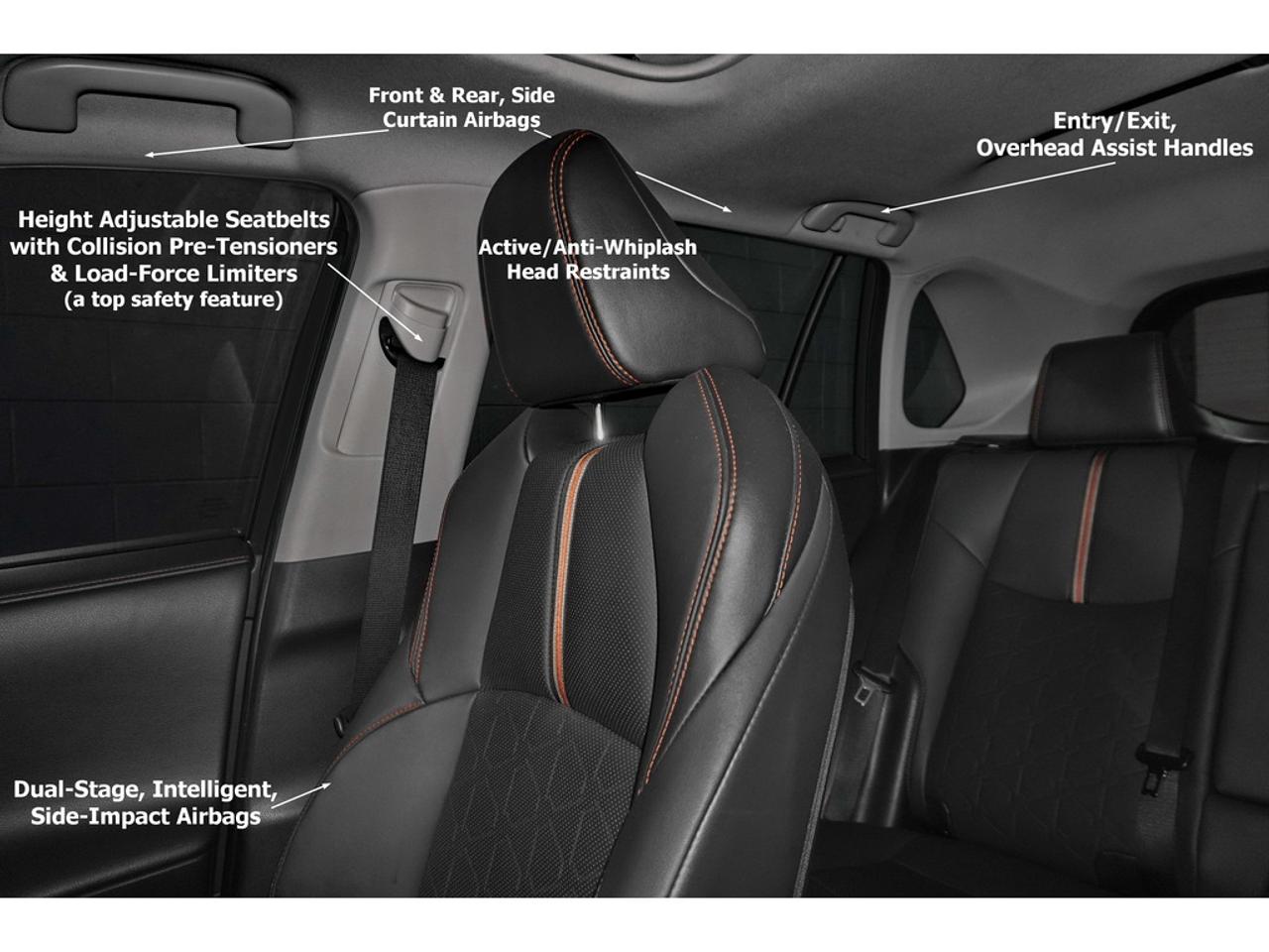 2019 Toyota RAV4 TRAIL Photo