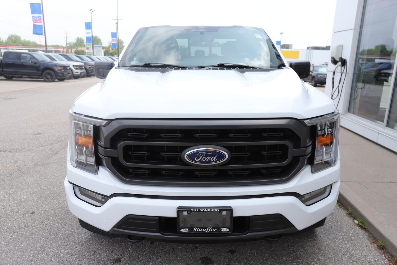2022 Ford F-150 XLT 4WD SuperCrew 5.5' Box Photo