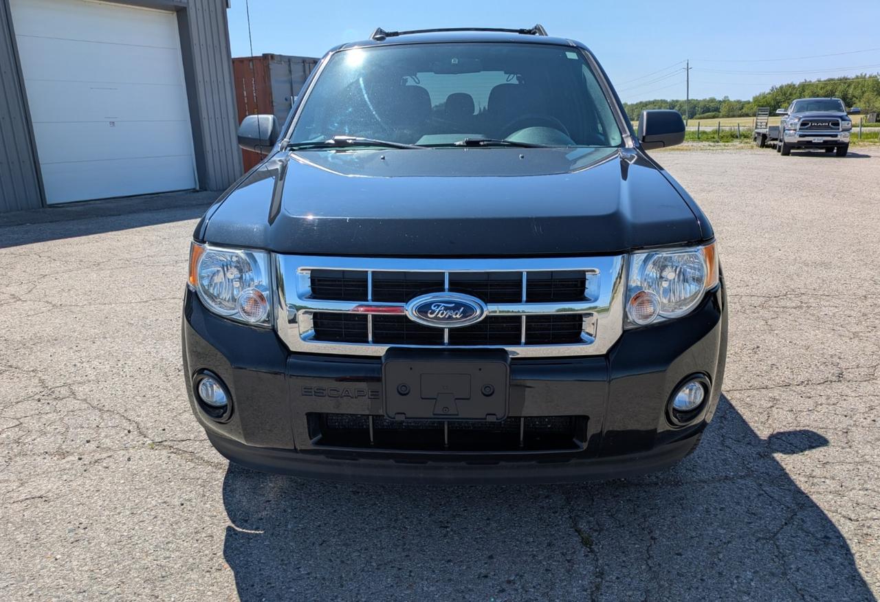 2012 Ford Escape XLT Photo