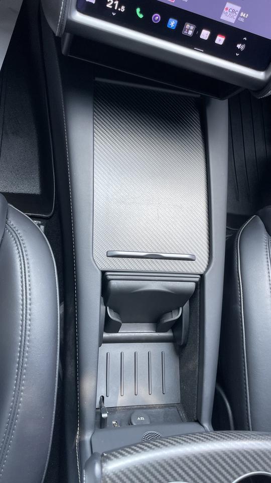 2021 Tesla Model S Performance *Ludacris  mode Photo