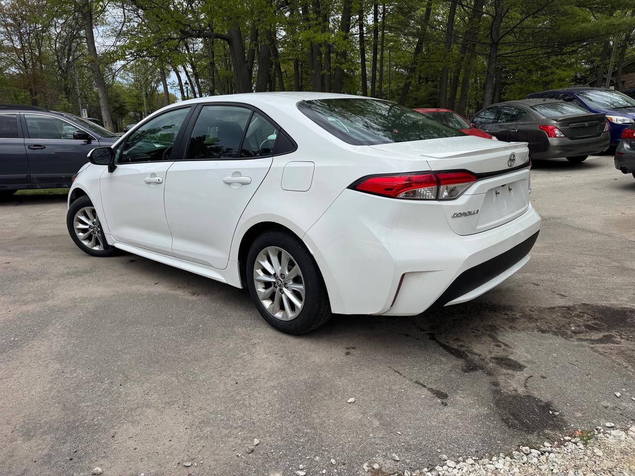 2022 Toyota Corolla LE Photo