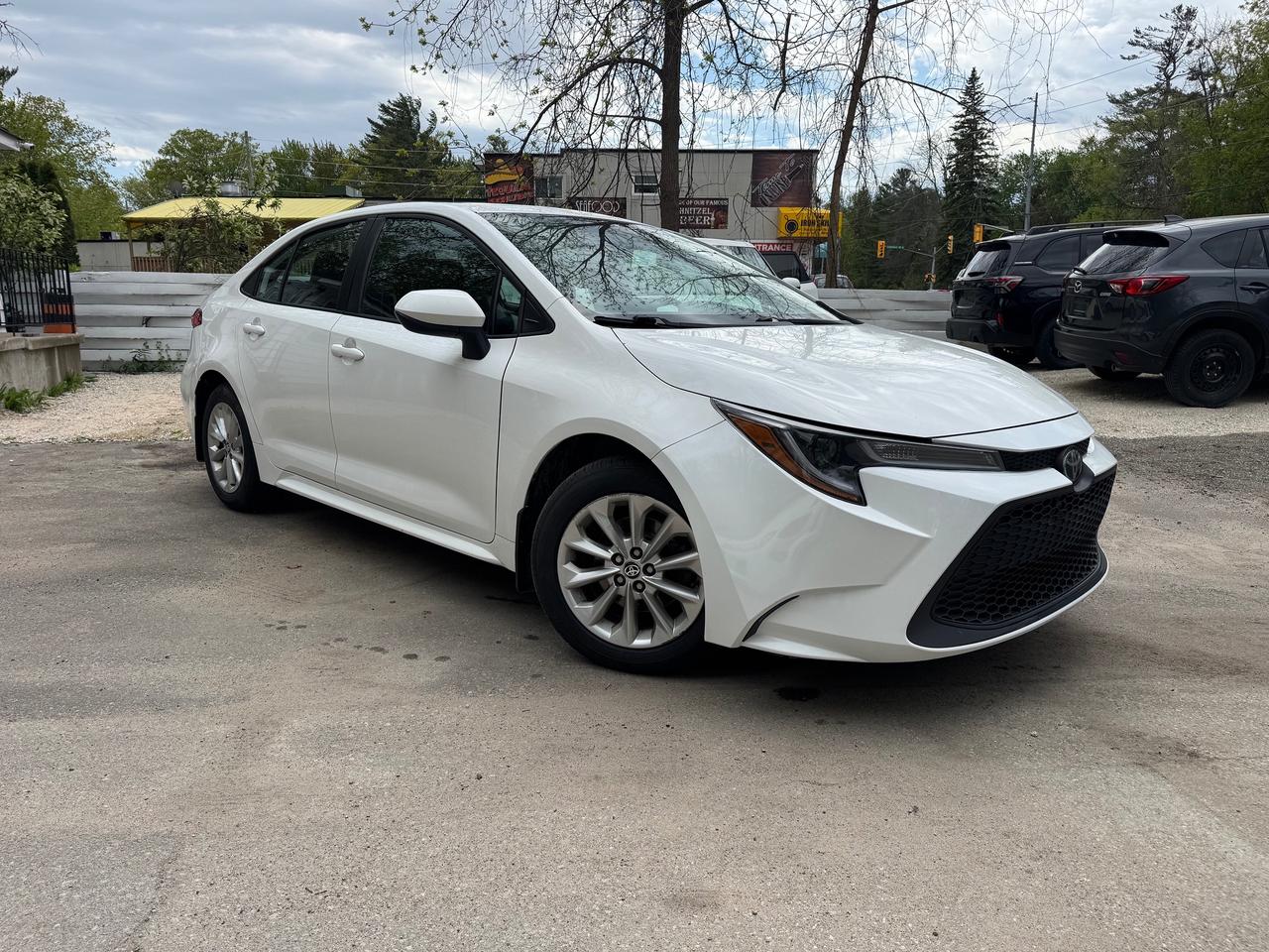 2022 Toyota Corolla LE Photo