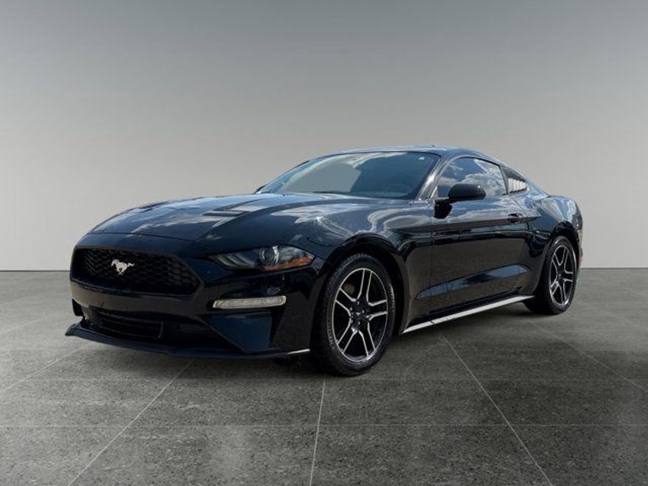 2019 Ford Mustang EcoBoost - Photo #1