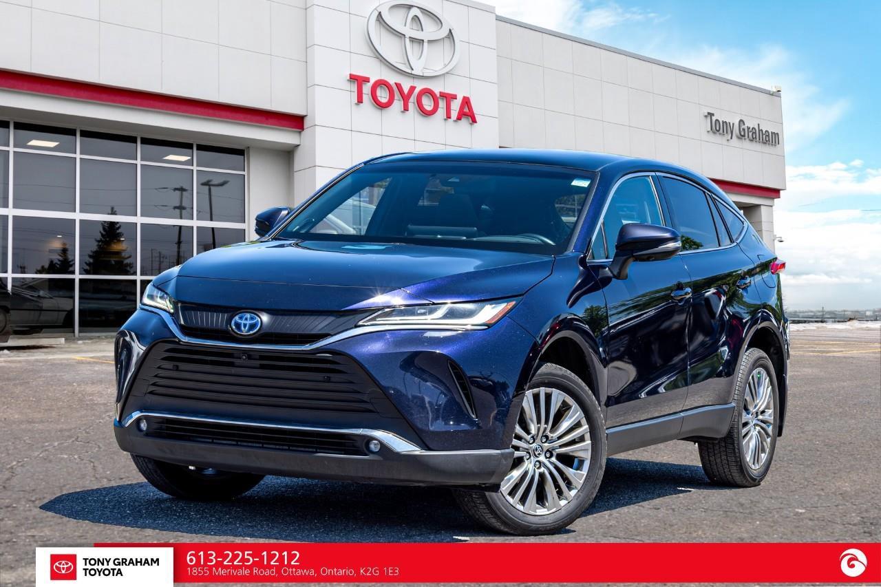 2023 Toyota Venza LIMITED Photo