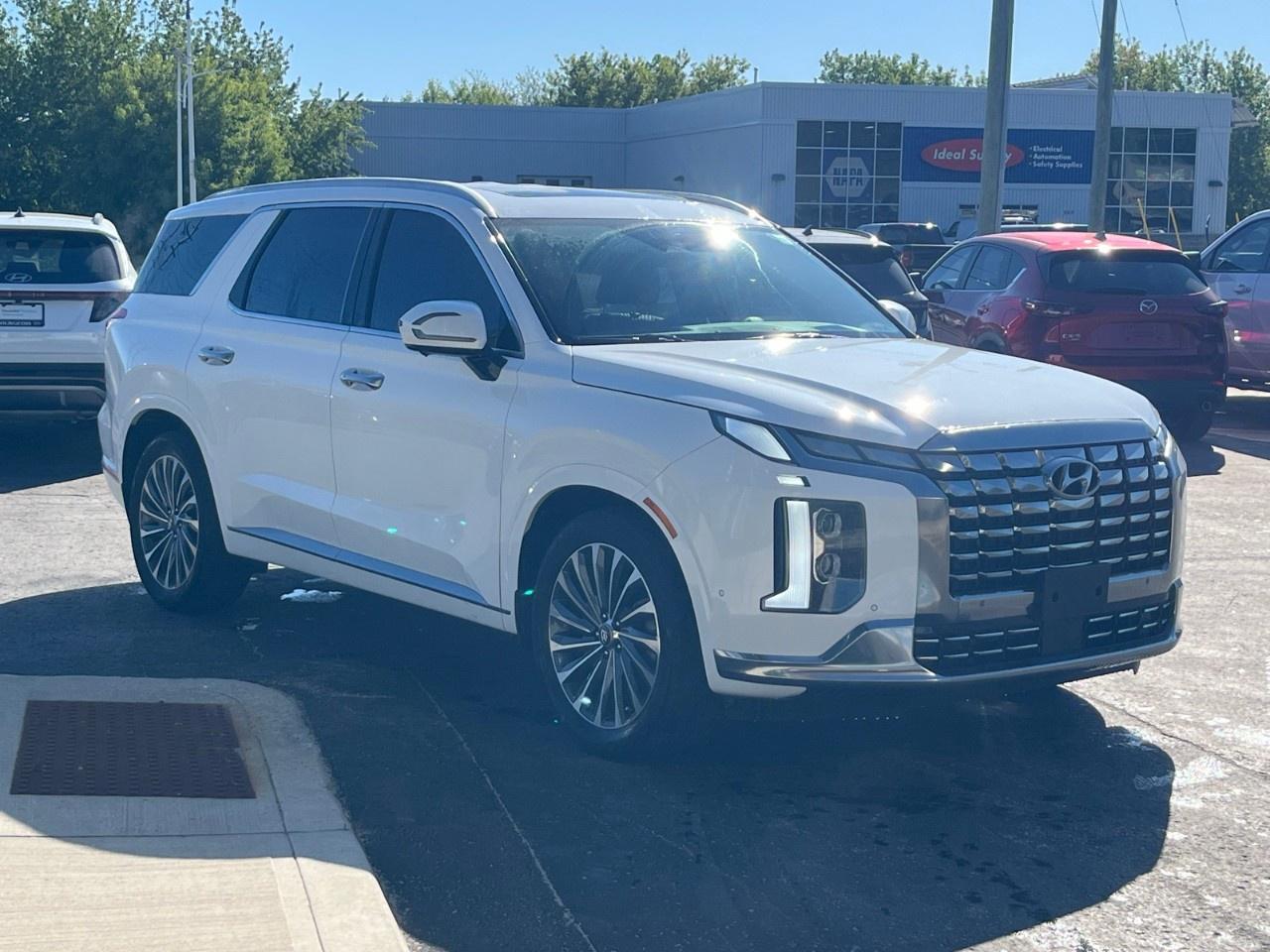 2025 Hyundai PALISADE Ultimate Calligraphy 7-Passenger AWD Photo