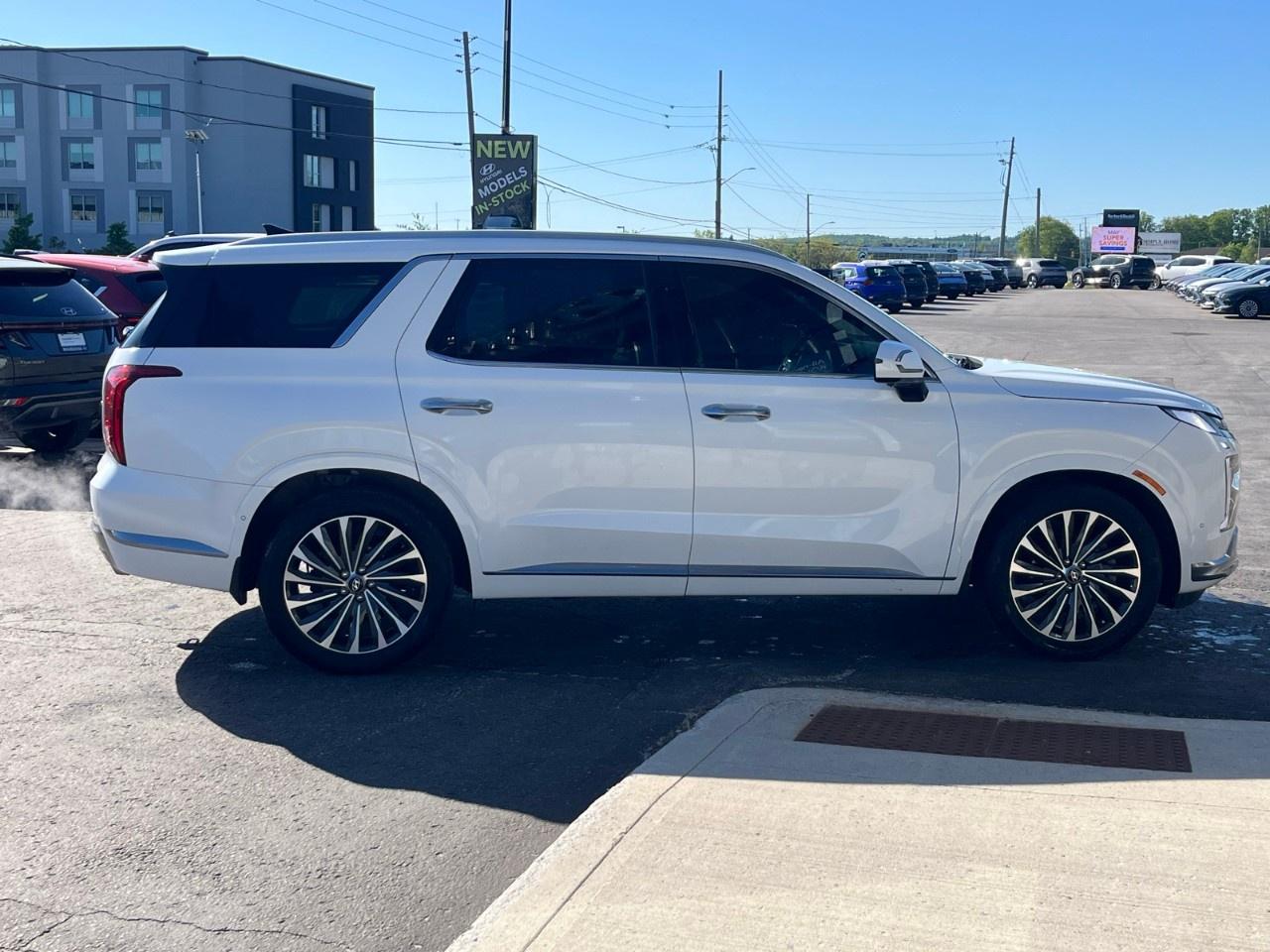 2025 Hyundai PALISADE Ultimate Calligraphy 7-Passenger AWD Photo