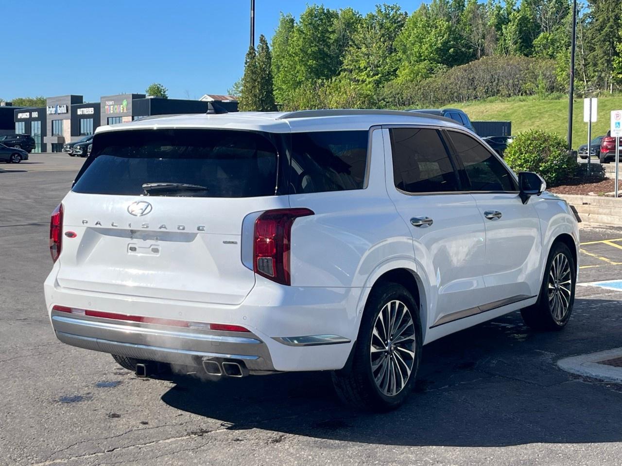 2025 Hyundai PALISADE Ultimate Calligraphy 7-Passenger AWD Photo