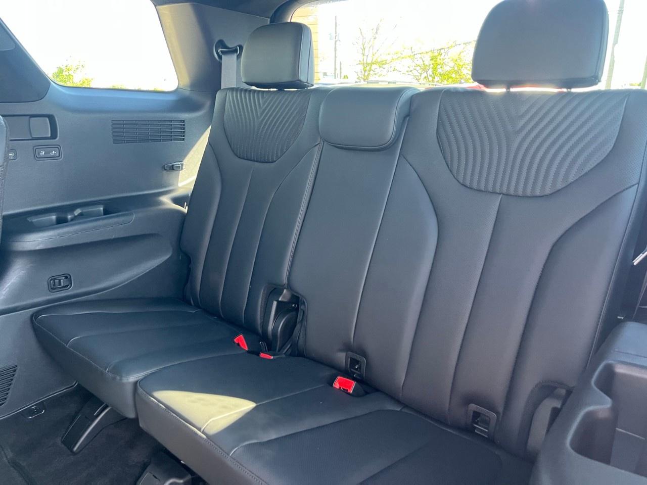2025 Hyundai PALISADE Ultimate Calligraphy 7-Passenger AWD Photo