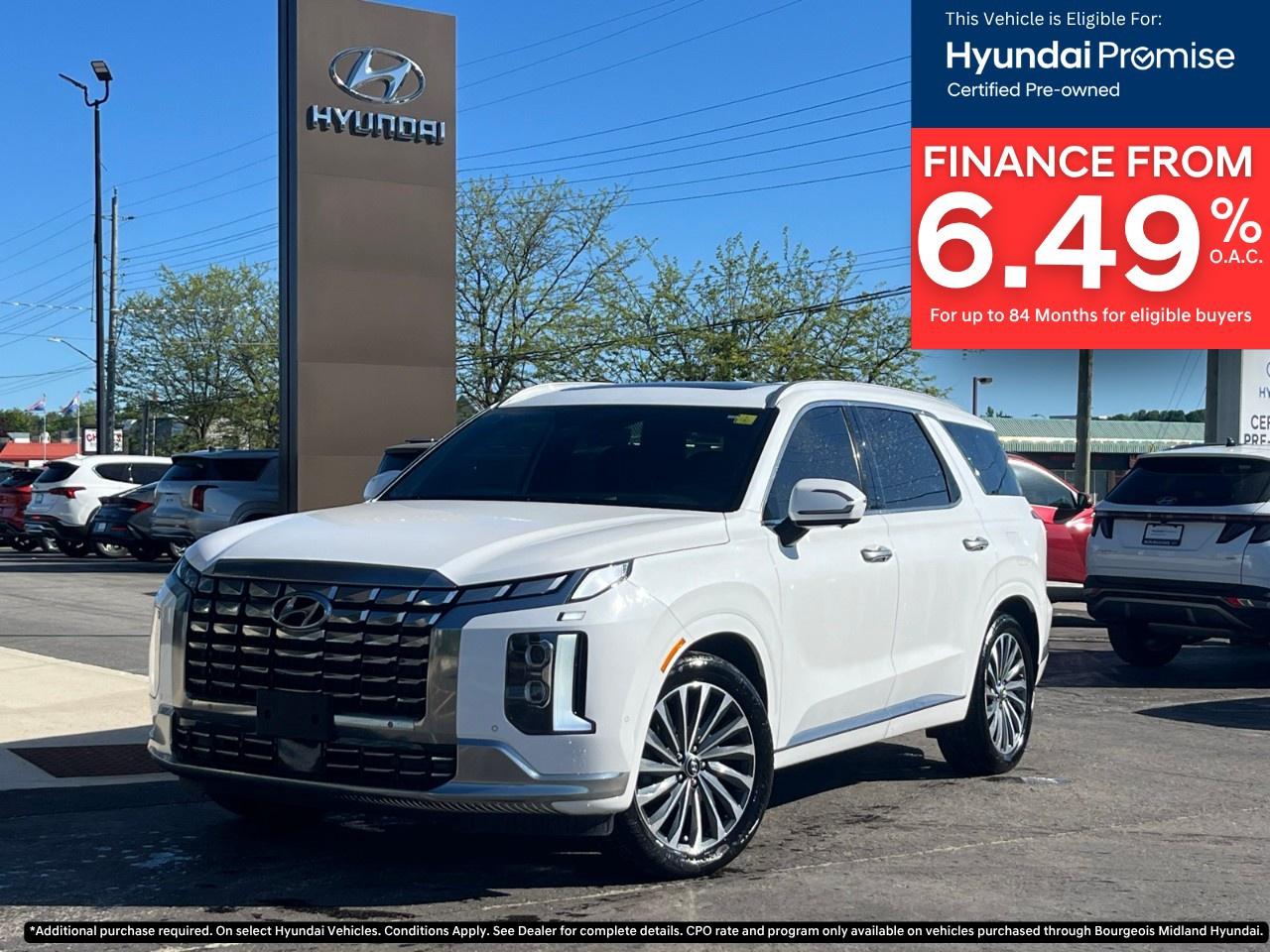 2025 Hyundai PALISADE Ultimate Calligraphy 7-Passenger AWD Photo