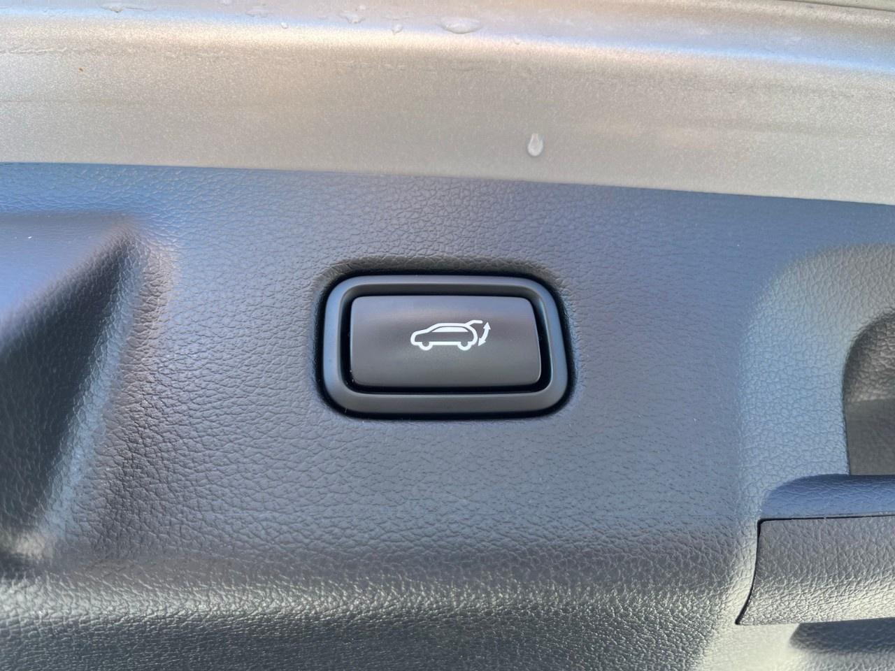 2024 Hyundai PALISADE Ultimate Calligraphy 7-Passenger AWD Photo