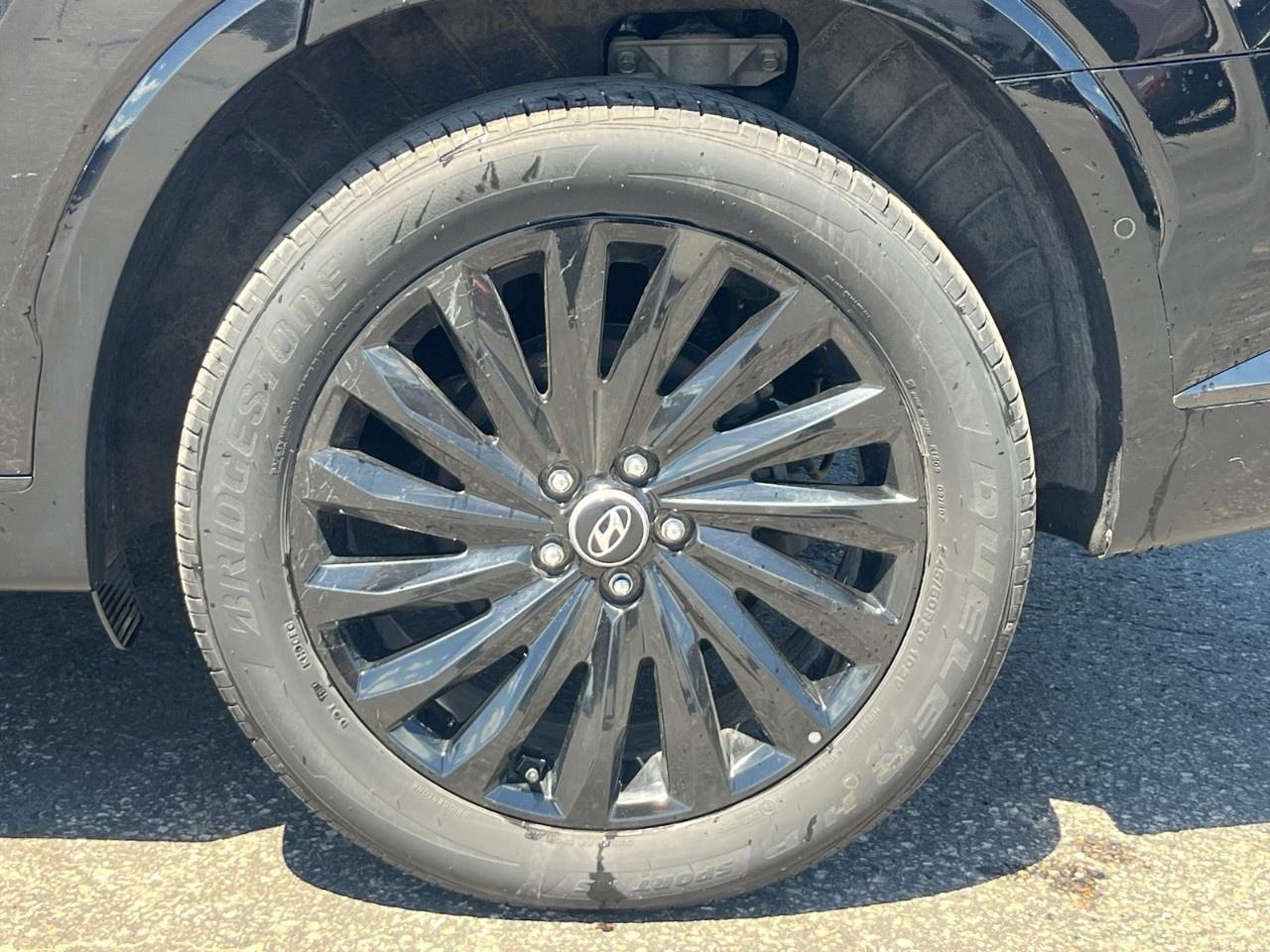 2025 Hyundai PALISADE  Photo