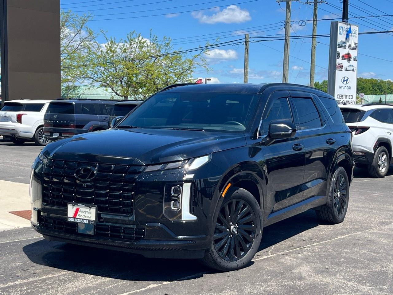 2025 Hyundai PALISADE Ultimate Calligraphy Night 7-Passenger AWD Photo0