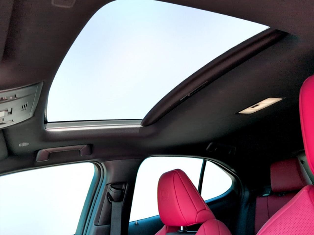 2023 Lexus UX 250h F-Sport II Photo