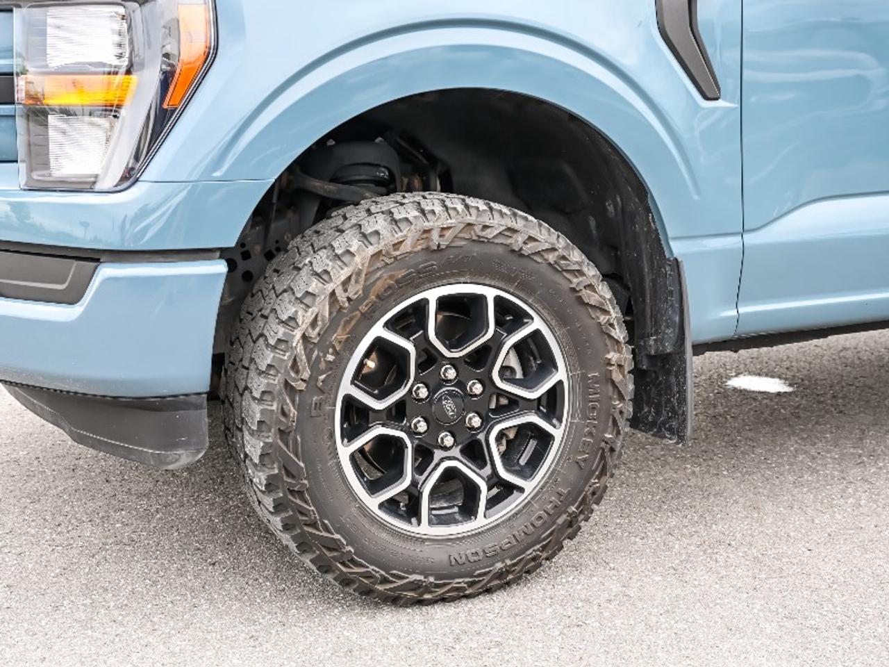 2023 Ford F-150 XL Photo