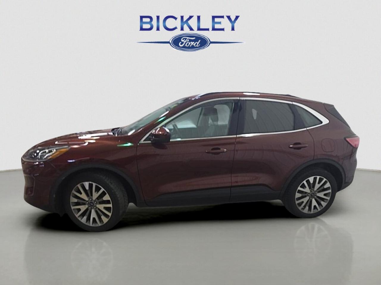 2021 Ford Escape Titanium Hybrid Photo