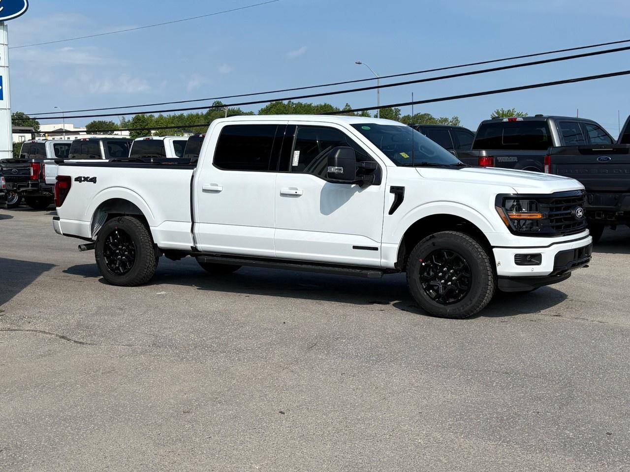 2026 Ford F-150 XLT 4WD SuperCrew 6.5' Box Photo