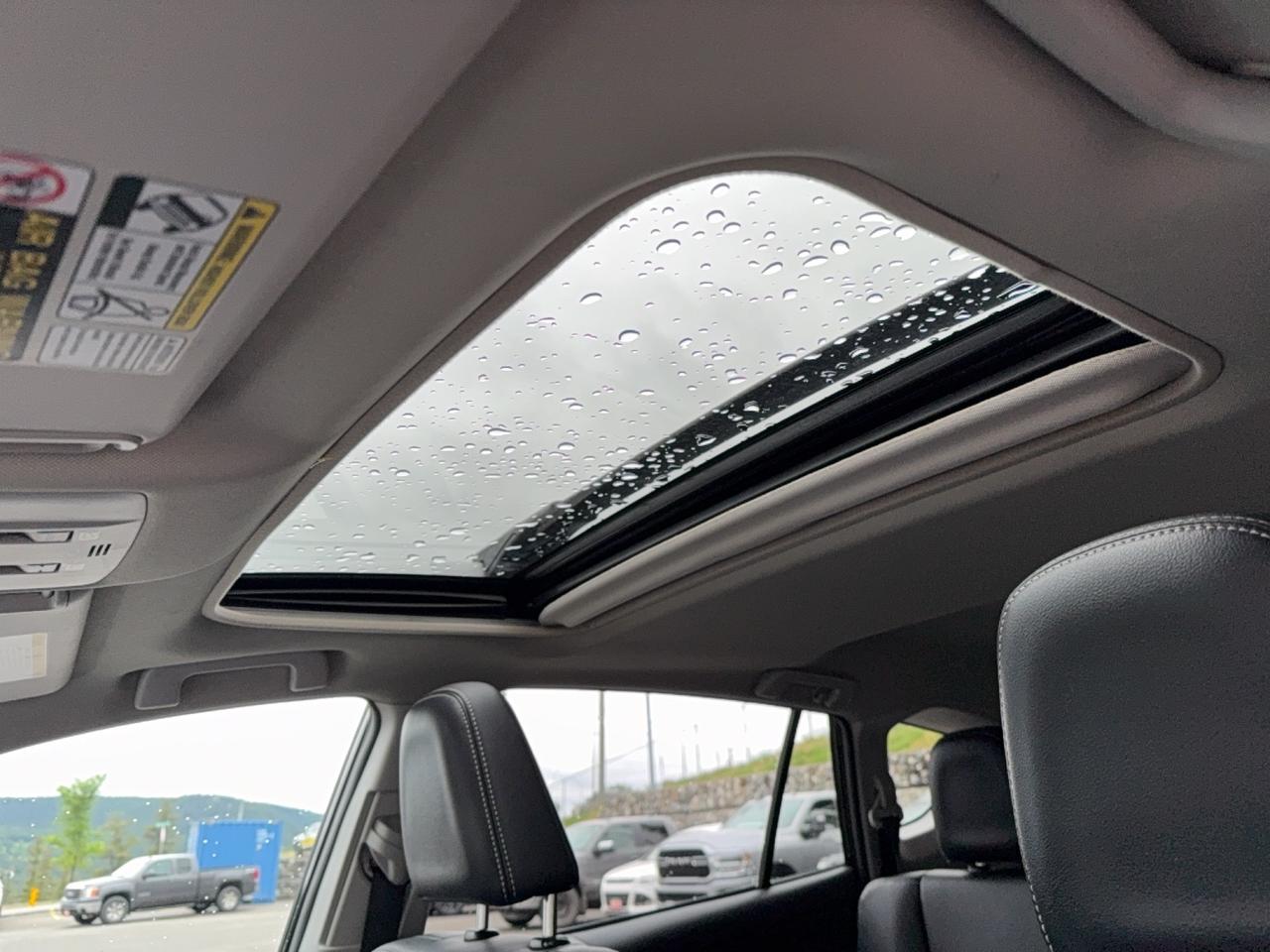 2015 Toyota RAV4 LIMITED  Photo