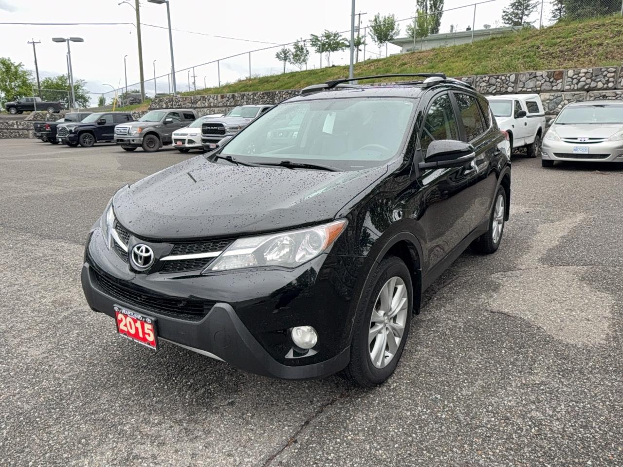 2015 Toyota RAV4 LIMITED  Photo