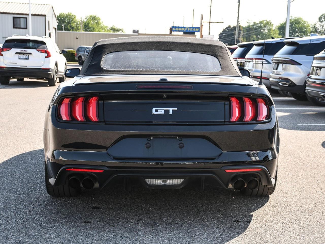 2019 Ford Mustang GT Premium Convertible Photo