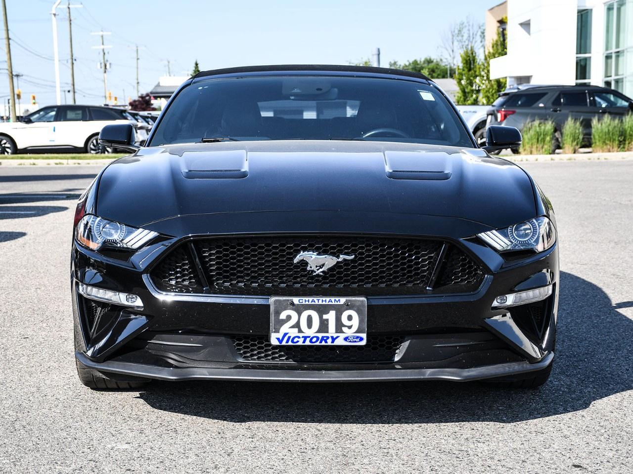 2019 Ford Mustang GT Premium Convertible Photo