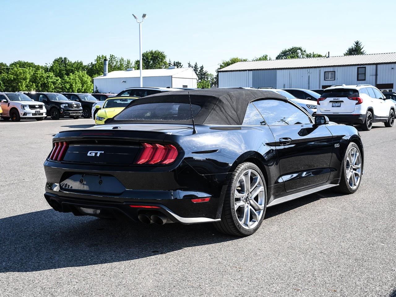 2019 Ford Mustang GT Premium Convertible Photo