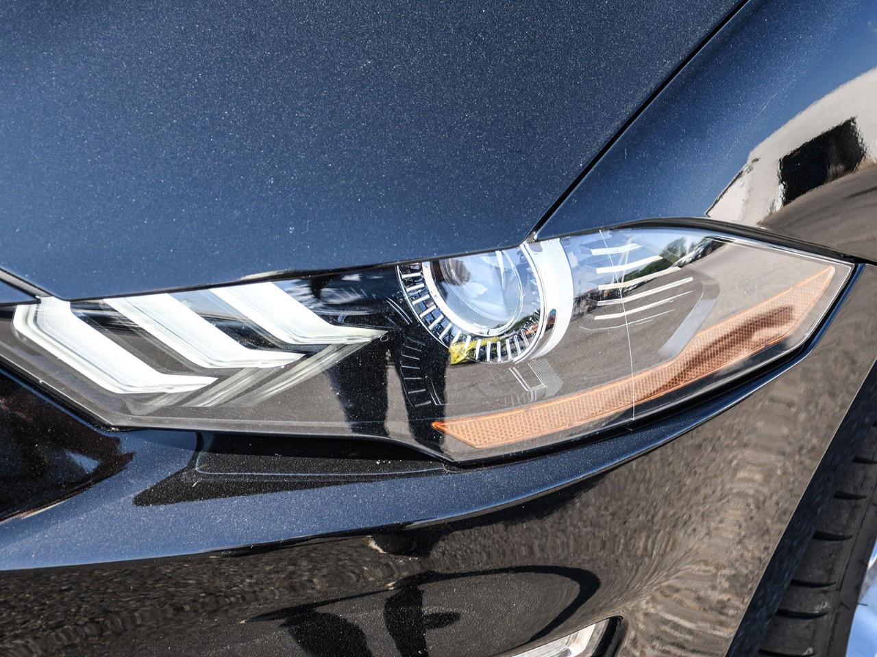 2019 Ford Mustang GT Premium Convertible Photo