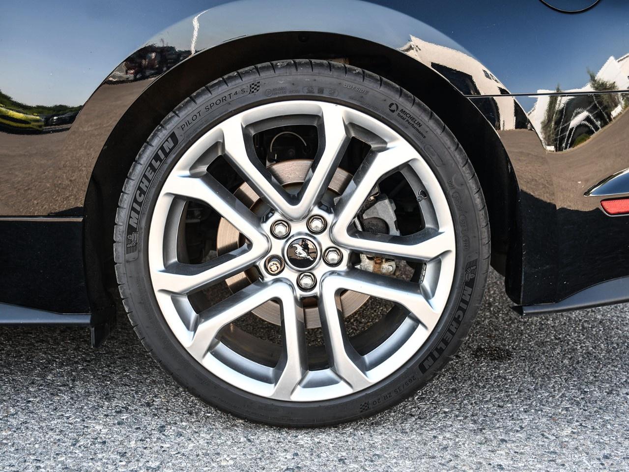 2019 Ford Mustang GT Premium Convertible Photo