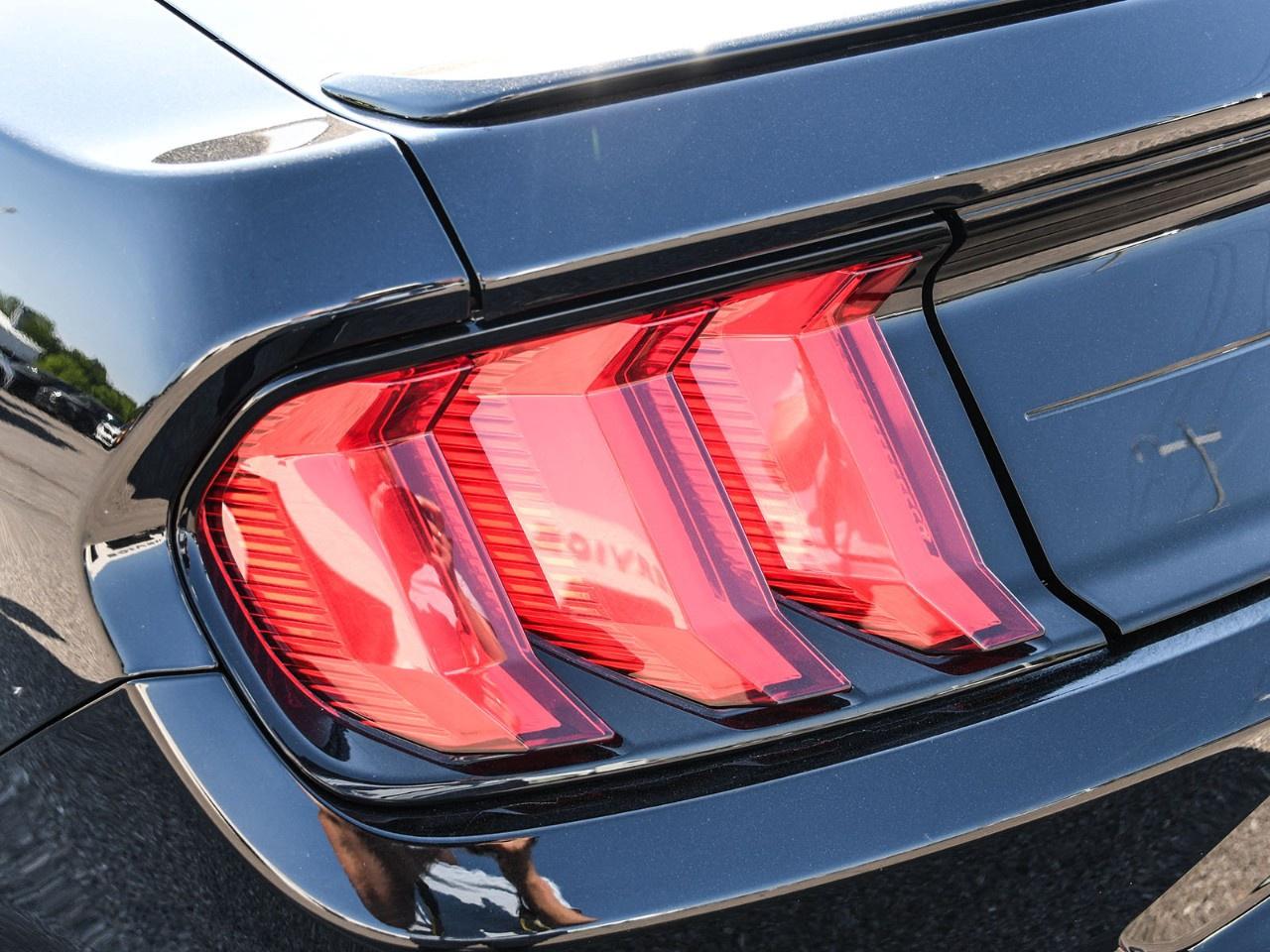 2019 Ford Mustang GT Premium Convertible Photo