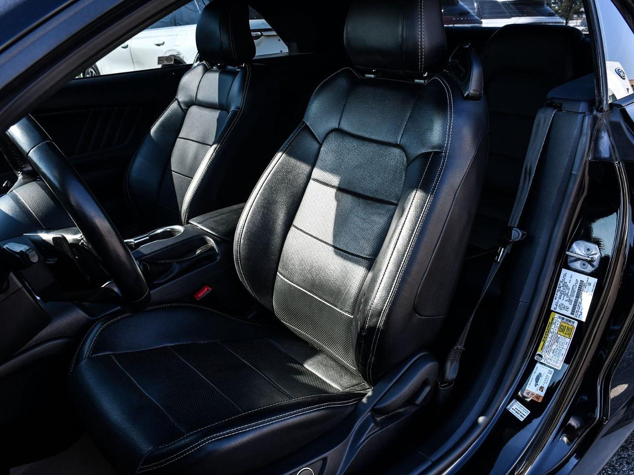 2019 Ford Mustang GT Premium Convertible Photo