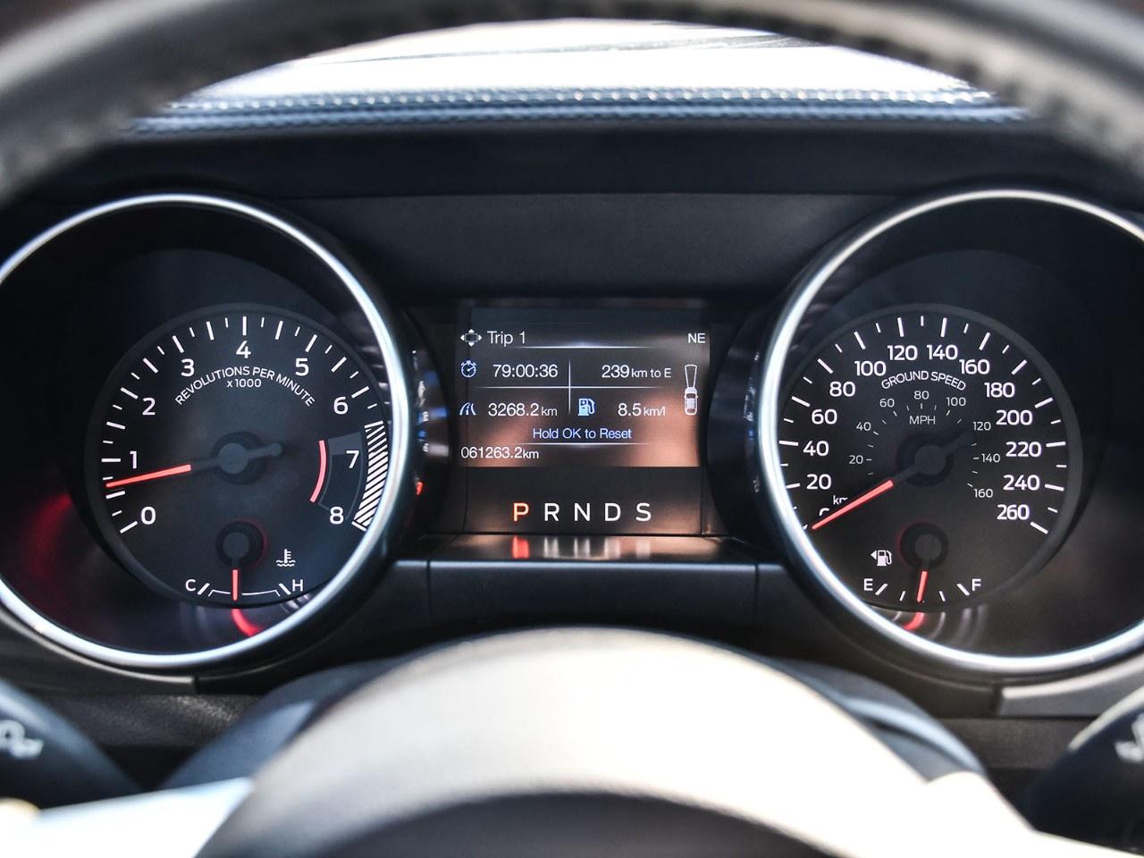 2019 Ford Mustang GT Premium Convertible Photo