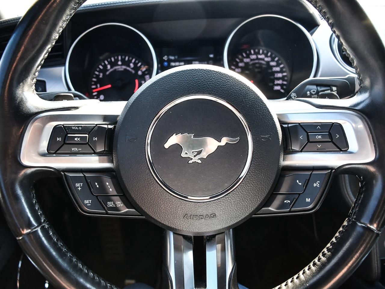 2019 Ford Mustang GT Premium Convertible Photo