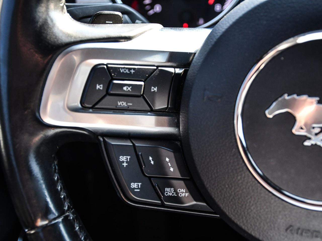 2019 Ford Mustang GT Premium Convertible Photo