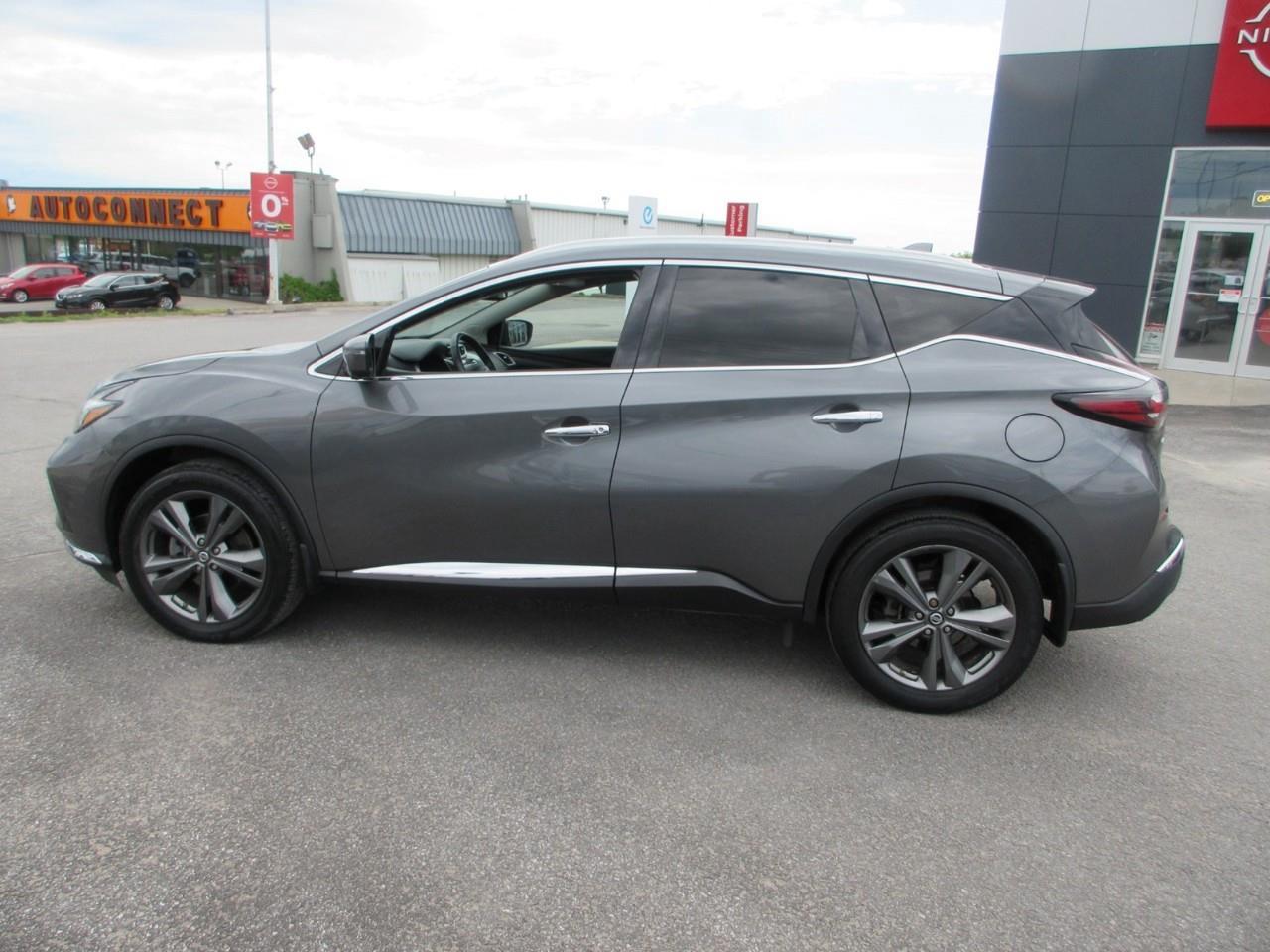 2019 Nissan Murano  Photo