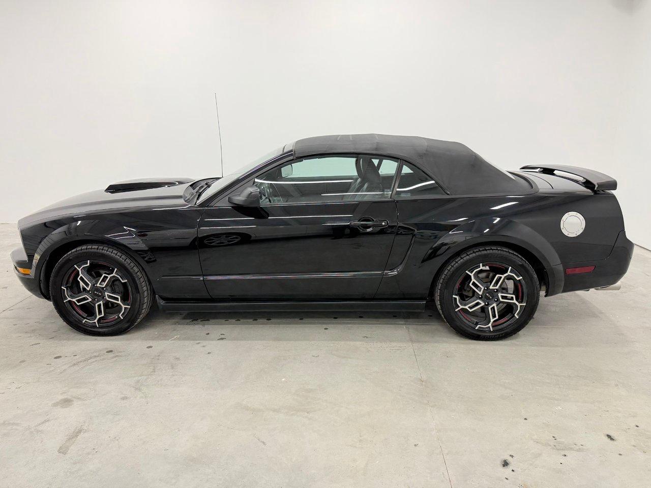 2005 Ford Mustang  Photo