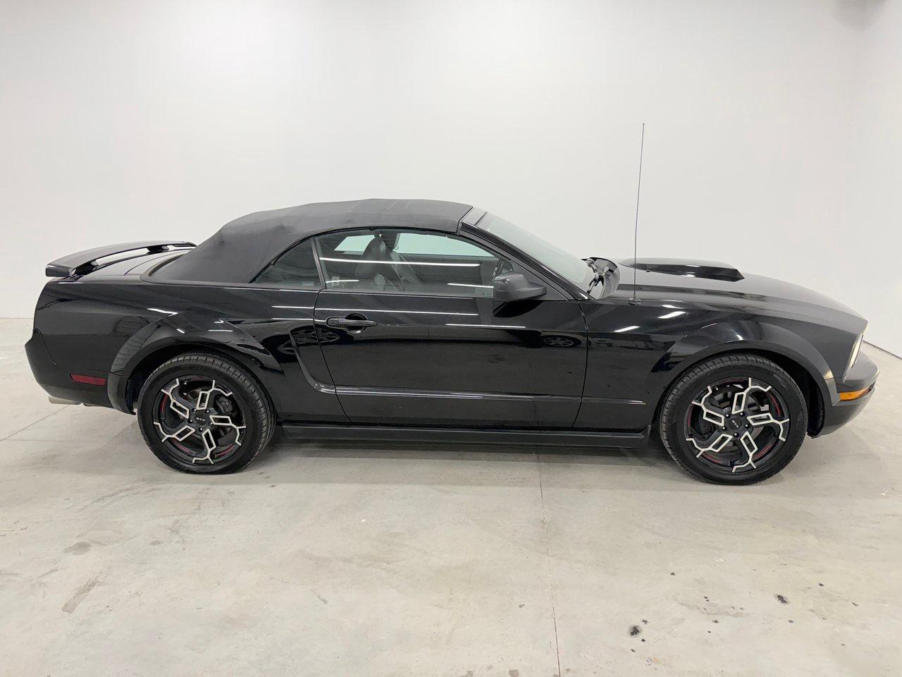 2005 Ford Mustang  Photo