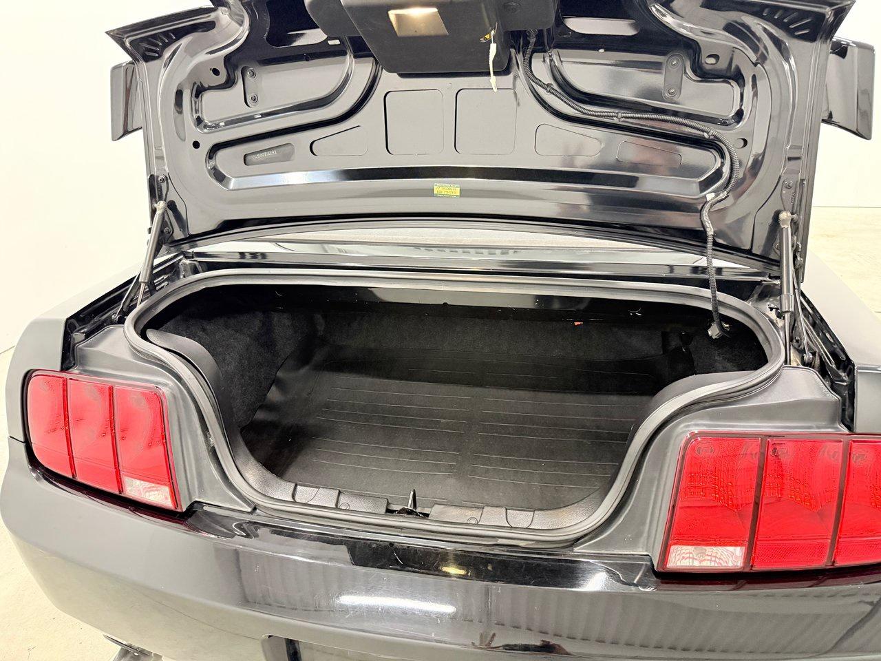 2005 Ford Mustang  Photo