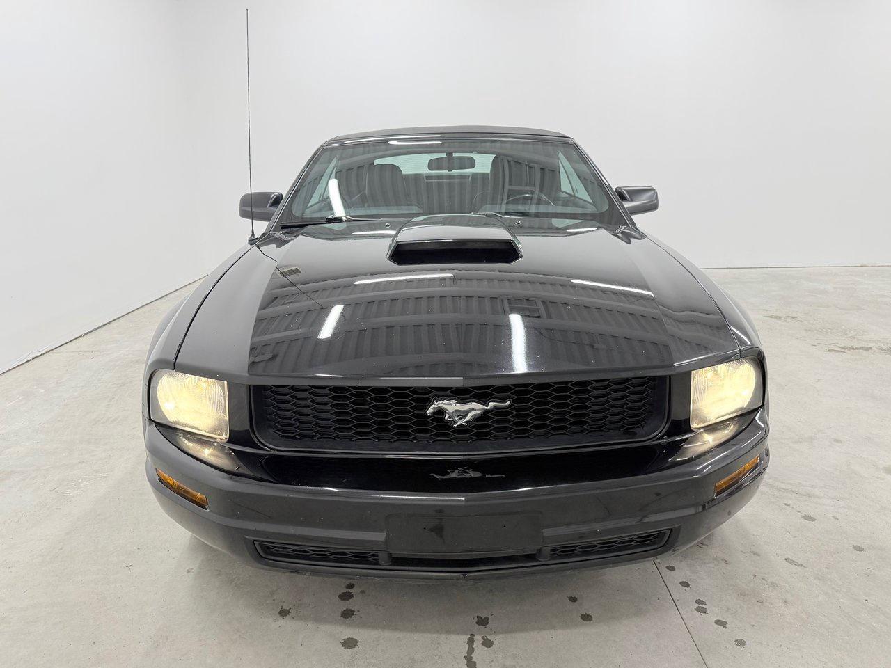 2005 Ford Mustang  Photo